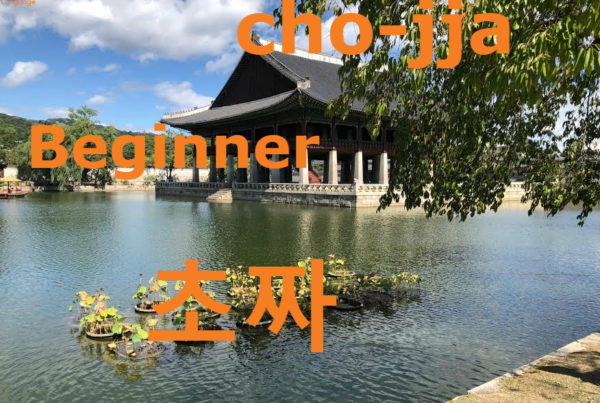 Beginner in Korean