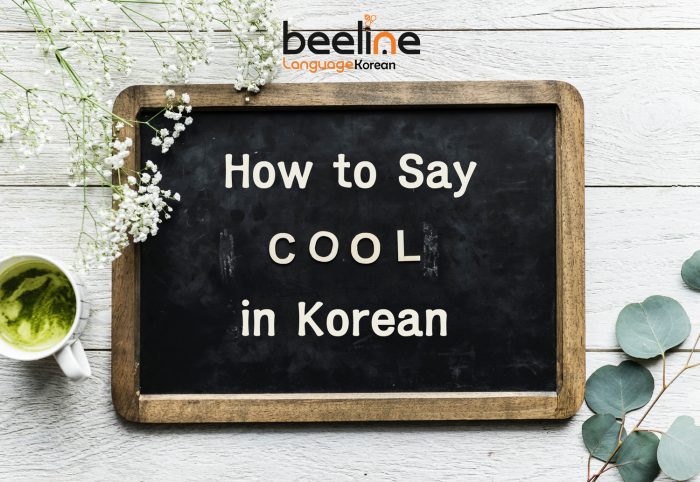 Cool In Korean